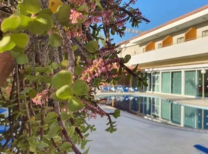 M. Moniatis Limassol