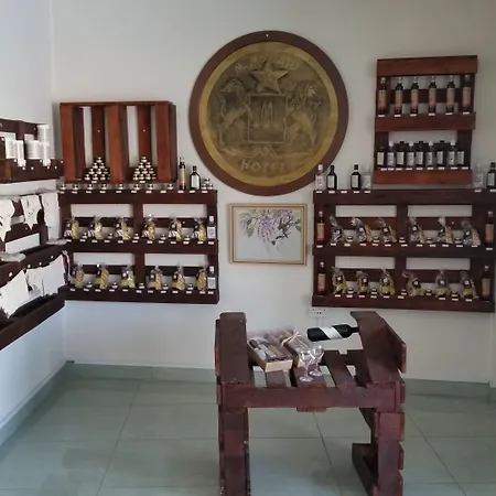 M. Moniatis 3* לימסול