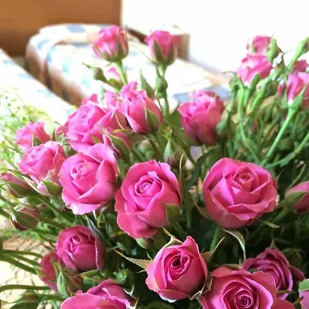 מלון M. Moniatis לימסול