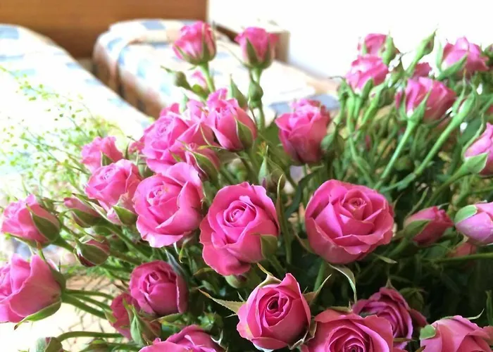 מלון M. Moniatis לימסול